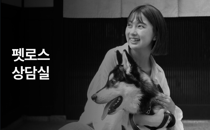 펫로스 상담실